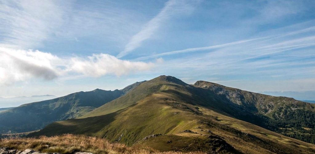 Weg zum Kreiskogel